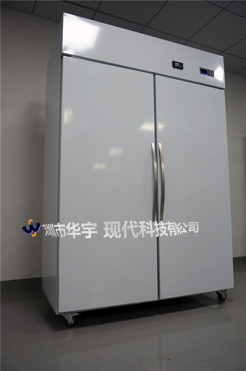 黄瓜官网入口现代出货照片 黄瓜官网入口现代出货照片